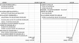 Hesap Tipi Gelir Tablosu